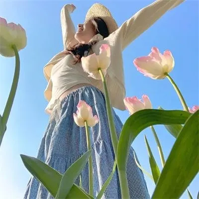 【温情佳作】《远山的呼唤》高仓健倍赏千惠子：北海道农场里，逃亡杀人犯与寡妇的深沉之恋